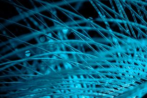 Business Service Wires
